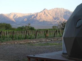 Desert Camp